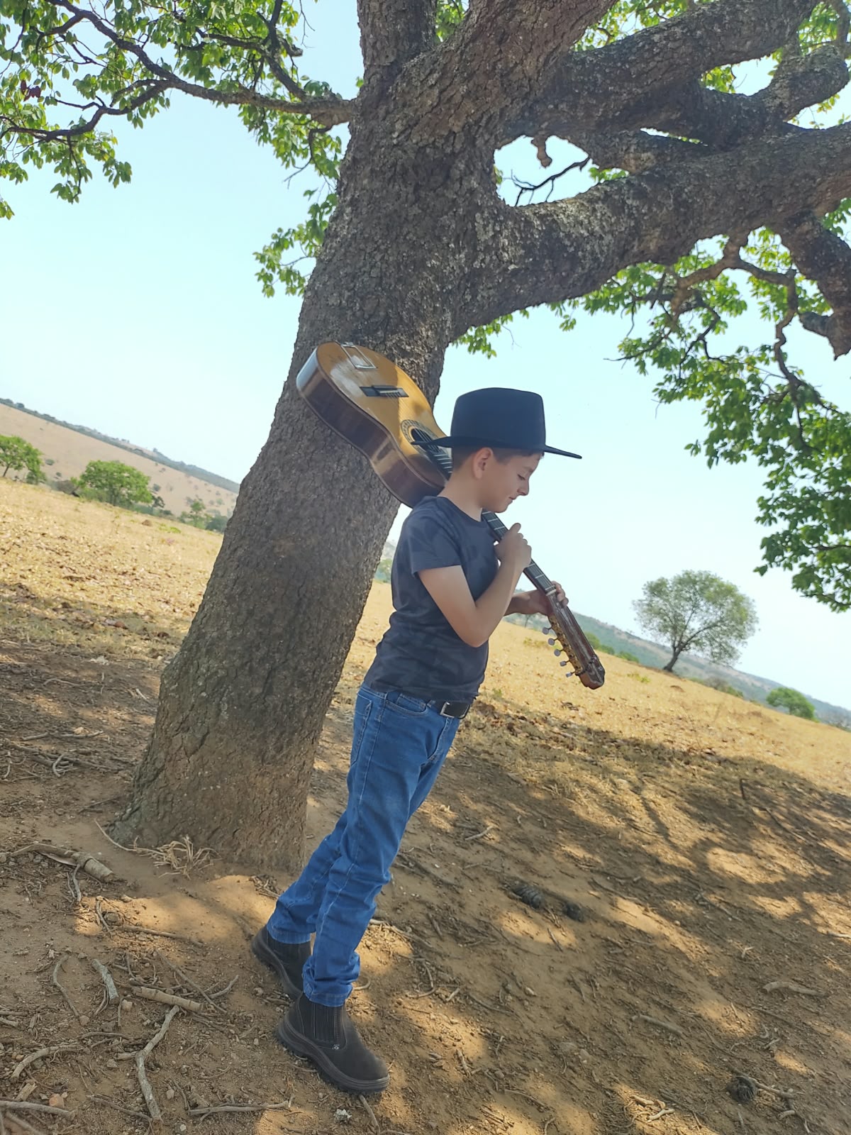 Entre a viola e a natureza
