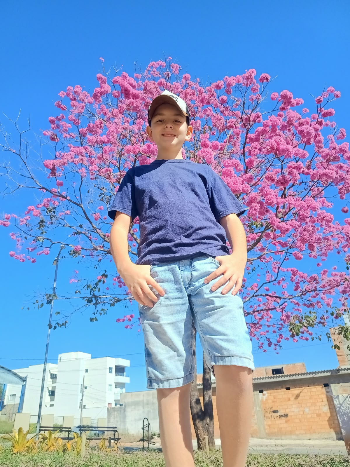 Simplicidade que floresce